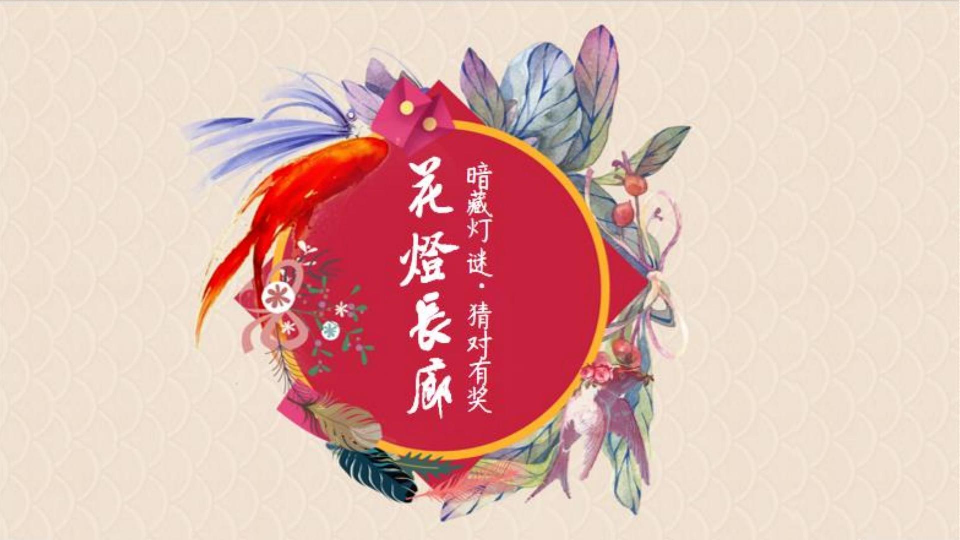 影像放映计划